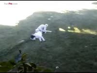 Two dogs having sex in a grass field